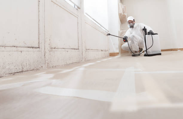24/7 Emergency Mold Remediation experts in Fair Lawn, NJ